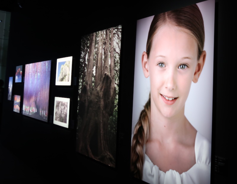 這才叫高畫質!Canon 展示肉眼難辨超精細輸出畫面!