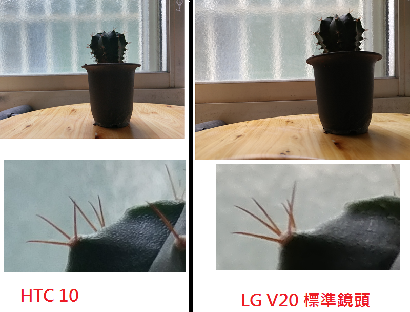(圖/記者譚偉晟拍攝)