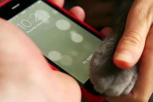 iPhone Home 鍵反應不靈敏？學會簡單 5 招立刻改善！