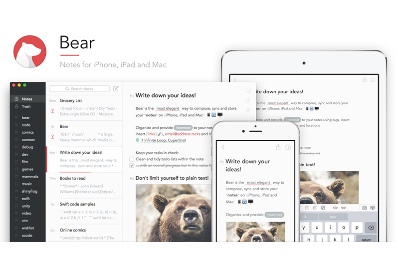 (圖片來源/Bear)