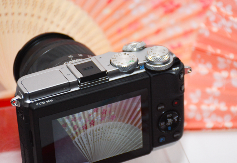 （圖／記者譚偉晟攝）