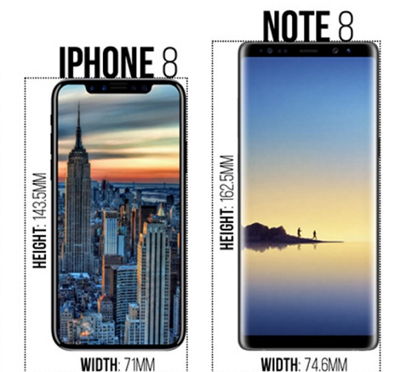 5.8吋iPhone 8、與6.3吋的三星Note 8,都將採用全螢幕的設計。(圖翻攝自PhoneArena)