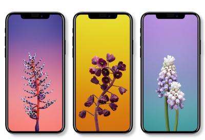新 iPhone 正式名稱遭曝!「iPhone 8」另有其名? 新 iPhone 正式名稱遭曝!「iPhone 8」另有其名?