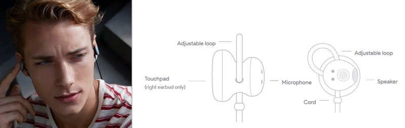 (圖翻攝自Google Store官網)
