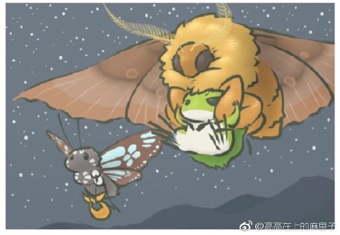 青蛙抓著大飛蛾 VIP 飛行（圖／翻攝自微博）