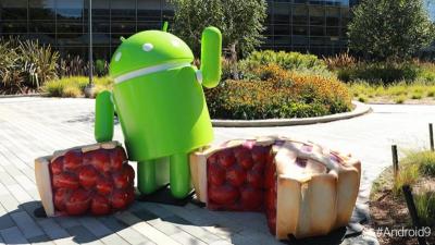 新版 Android P 甜點名稱公布了!Google Pixel 手機率先升級 9.0系統 新版 Android P 甜點名稱公布了!Google Pixel 手機率先升級 9.0系統