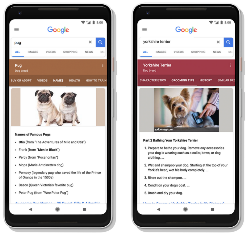 Google Search 搜尋的新功能之一,提供更聰明的搜尋,輸入關鍵字列出搜尋結果,另,提供相關實用性的建議搜尋項目。(圖翻攝自9to5Google)