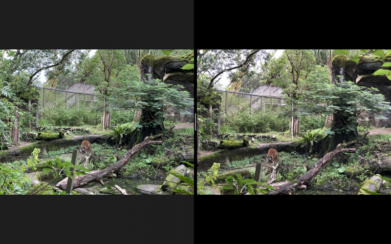 圖左為 iPhone XR、右為 iPhone 8 Plus。雖然開啟 2 倍變焦後，但兩者其實差異不多（圖／記者黃敬淳攝）