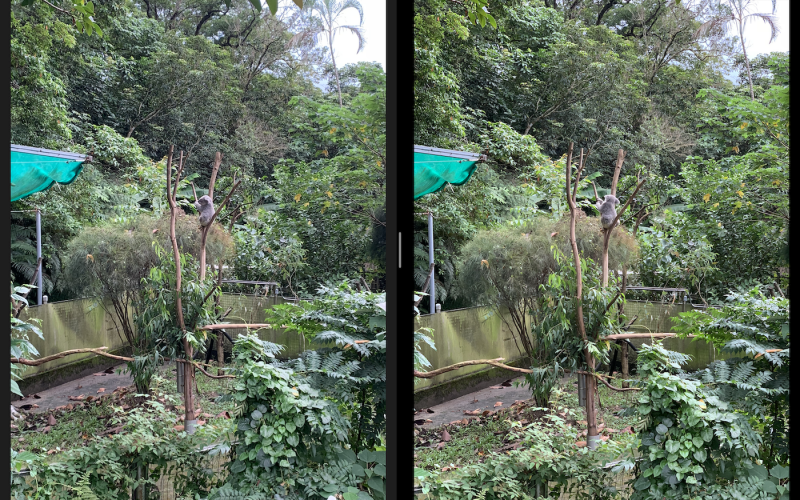 圖左為 iPhone XR、右為 iPhone XS Max。2 倍變焦後，兩者仍差異不多（圖／記者黃敬淳攝）