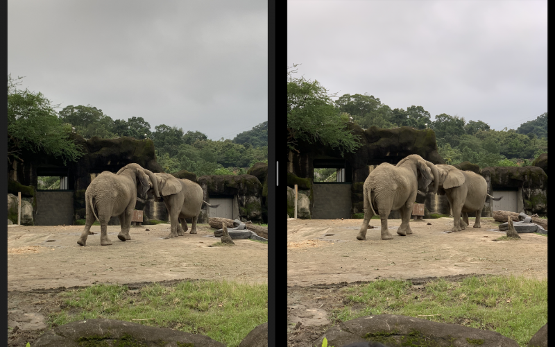 圖左為 iPhone XR、右為 iPhone XS Max。樣機展示了 XR 似乎有更好的白平衡（圖／記者黃敬淳攝）