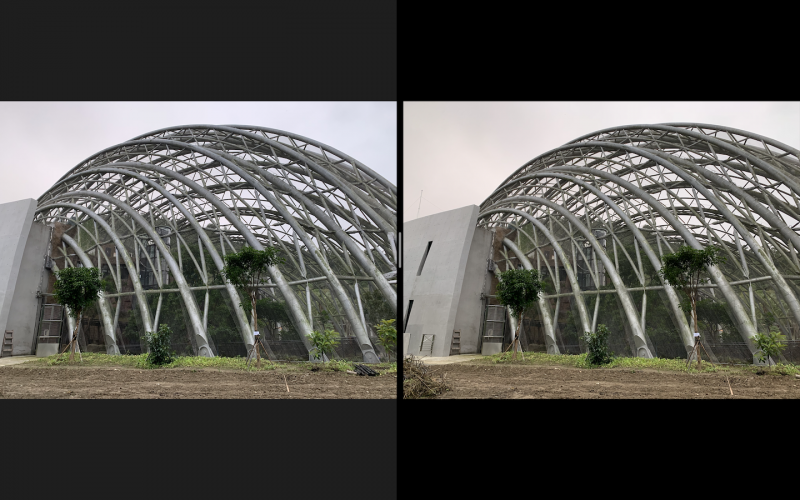 圖左為 iPhone XR、右為 iPhone XS Max。XS Max 照片明顯偏黃（圖／記者黃敬淳攝）