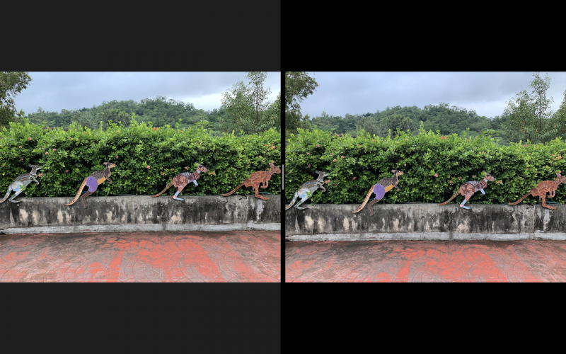 圖左為 iPhone XR、右為 iPhone XS Max。（圖／記者黃敬淳攝）