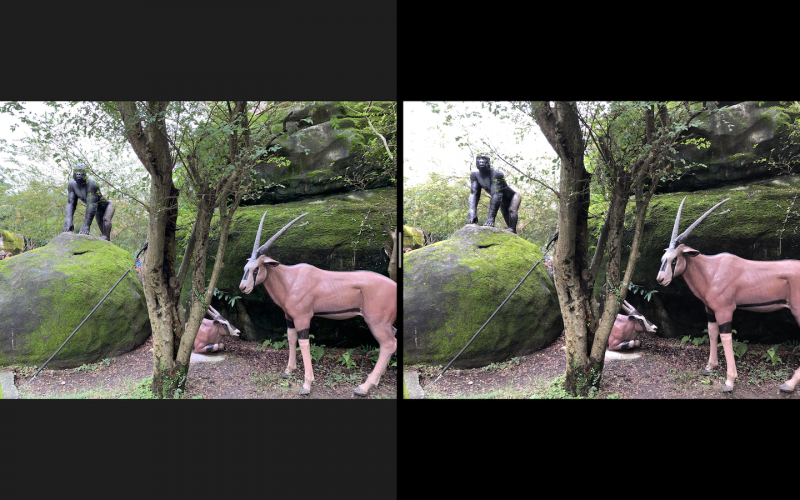 圖左為 iPhone XR、右為 iPhone 8 Plus。左上處 8 Plus 明顯過曝（圖／記者黃敬淳攝）