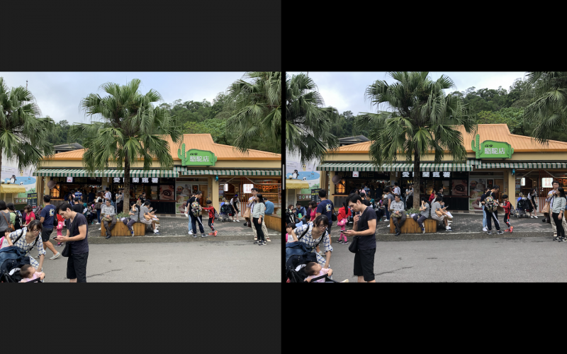 圖左為 iPhone XR、右為 iPhone 8 Plus。XR 的照片相對透亮（圖／記者黃敬淳攝）