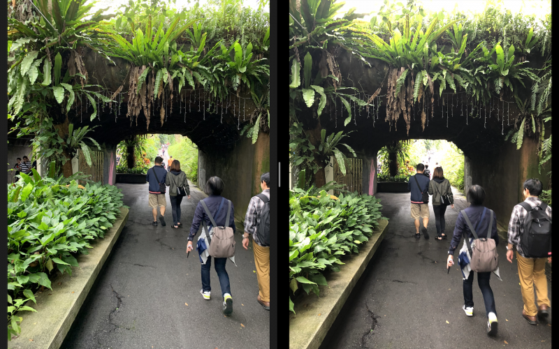 圖左為 iPhone XR、右為 iPhone 8 Plus。XR 同樣展現較好的曝光控制（圖／記者黃敬淳攝）