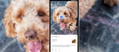 iPhone 用戶快學!Google智慧鏡頭 5 招超實用小技巧 iPhone 用戶快學!Google智慧鏡頭 5 招超實用小技巧