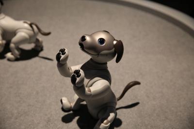 【CES直擊】Sony 機器寵物狗「AIBO」萌樣再升級!像家裡的小狗一樣撒嬌 (影片) 【CES直擊】Sony 機器寵物狗「AIBO」萌樣再升級!像家裡的小狗一樣撒嬌 (影片)