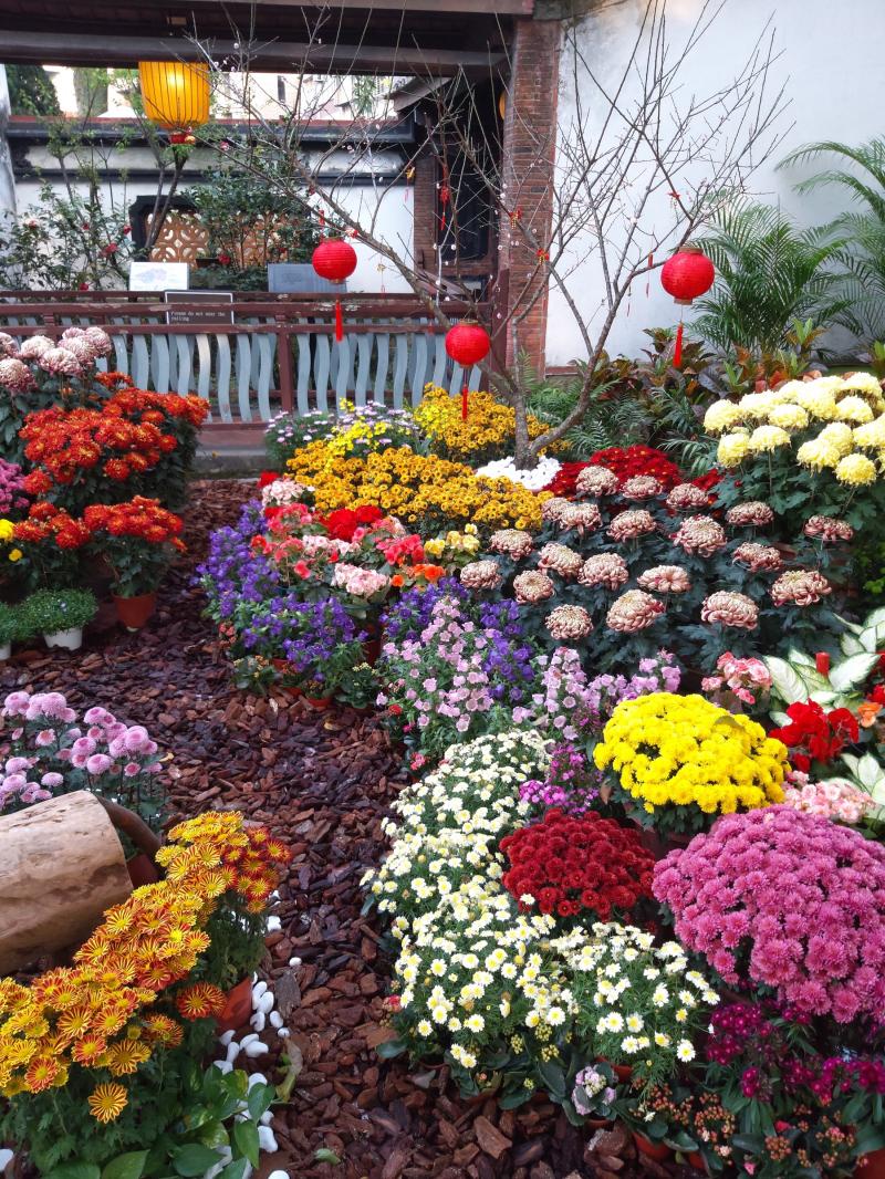 Galaxy A8s 成像（圖／記者黃敬淳攝）