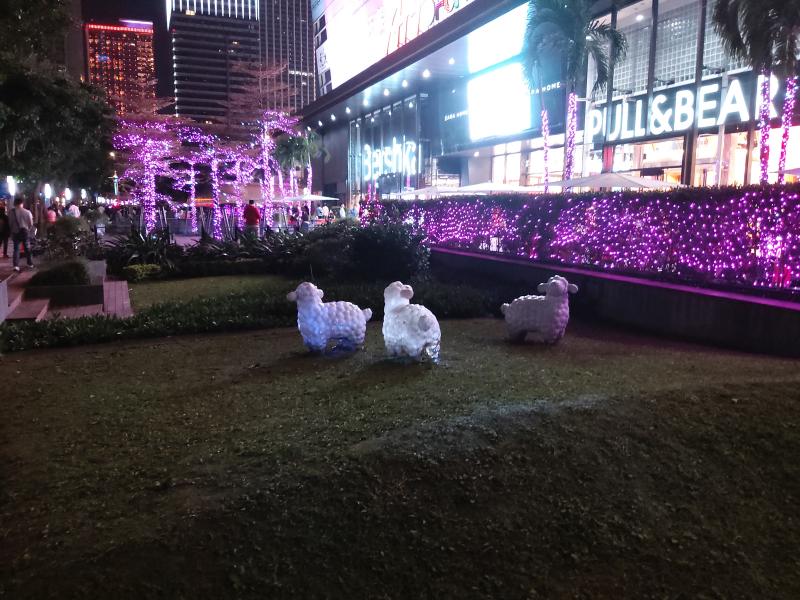 Galaxy A8s 成像（圖／記者黃敬淳攝）