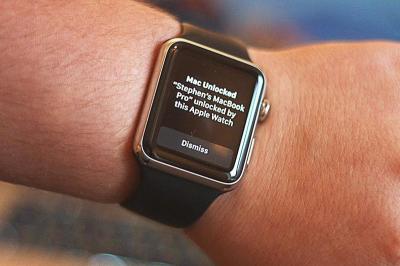 Apple Watch 就是你的密碼!蘋果將替手錶導入更多驗證功能 Apple Watch 就是你的密碼!蘋果將替手錶導入更多驗證功能