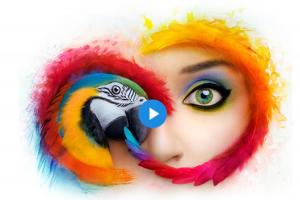 強迫升級、專業人士崩潰！Adobe CC 未來不再支援舊版本