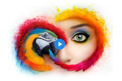強迫升級、專業人士崩潰!Adobe CC 未來不再支援舊版本 強迫升級、專業人士崩潰!Adobe CC 未來不再支援舊版本