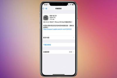 小幅度修正 Bug!蘋果無預警釋出「 iOS 12.3.1 」更新版 小幅度修正 Bug!蘋果無預警釋出「 iOS 12.3.1 」更新版