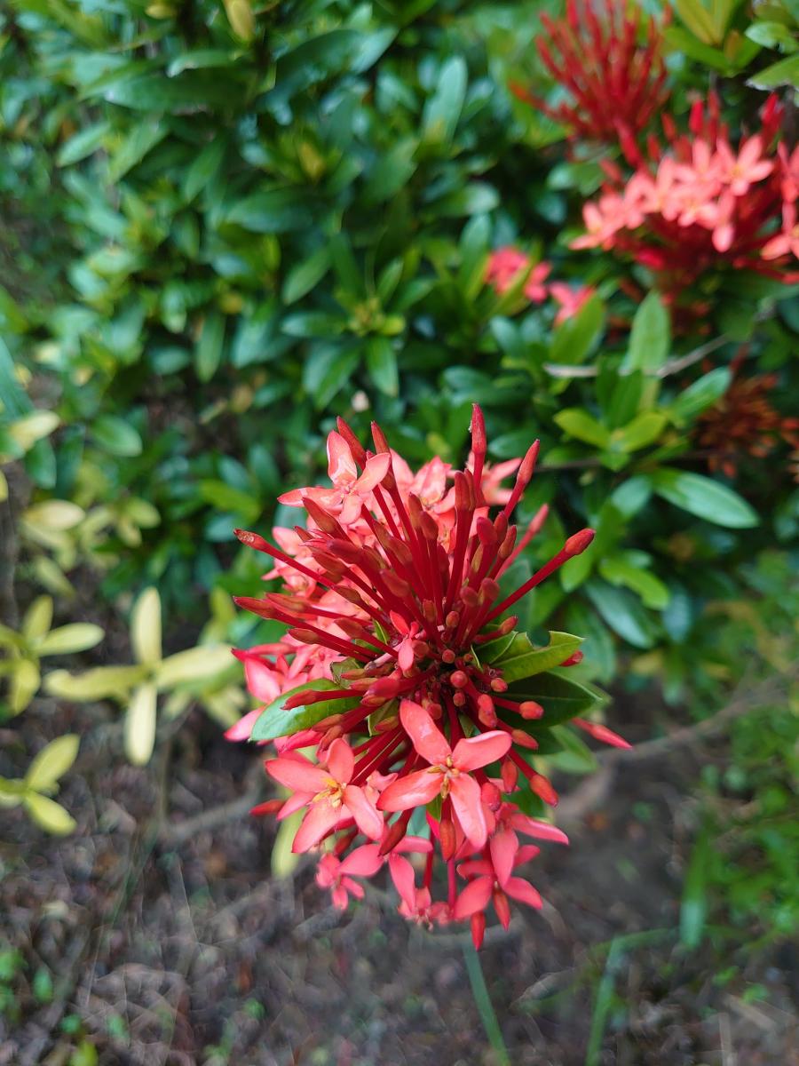 （圖／記者黃敬淳攝）