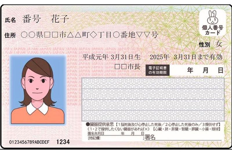 (圖片來源/The Verge)