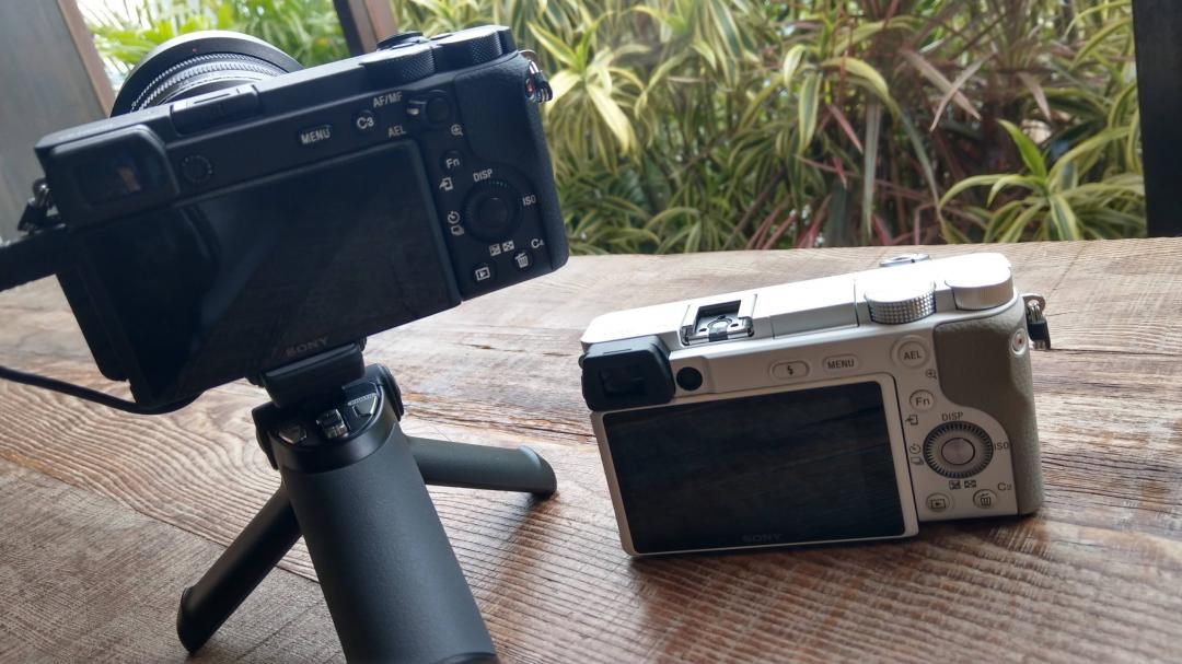 左為 α6600、右為 α6100。(圖/記者黃肇祥攝)