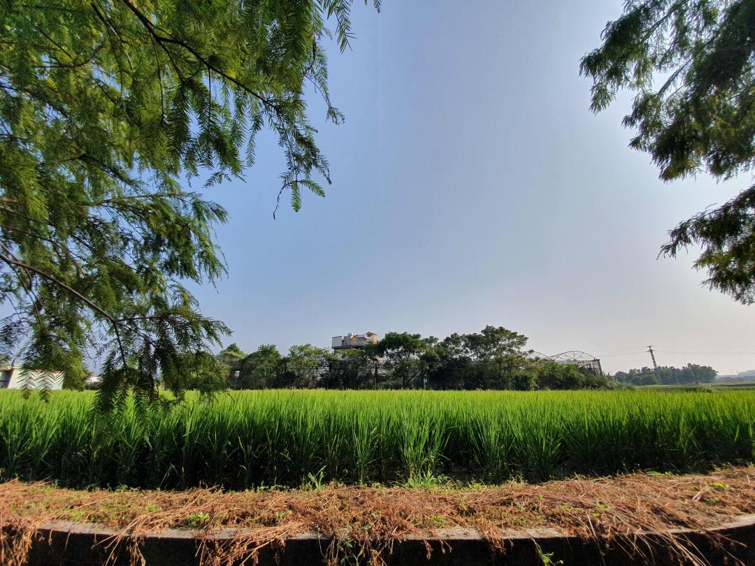 S10  拍攝自然景物。