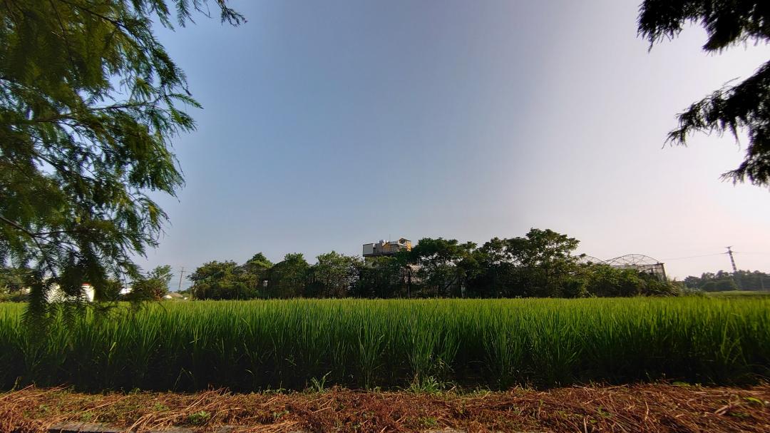 Xperia 5 拍攝自然景物。