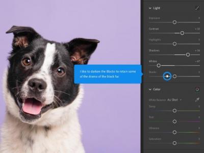 iOS 用戶注意!Adobe Lightroom 爆更新災情、照片恐遭誤刪 iOS 用戶注意!Adobe Lightroom 爆更新災情、照片恐遭誤刪