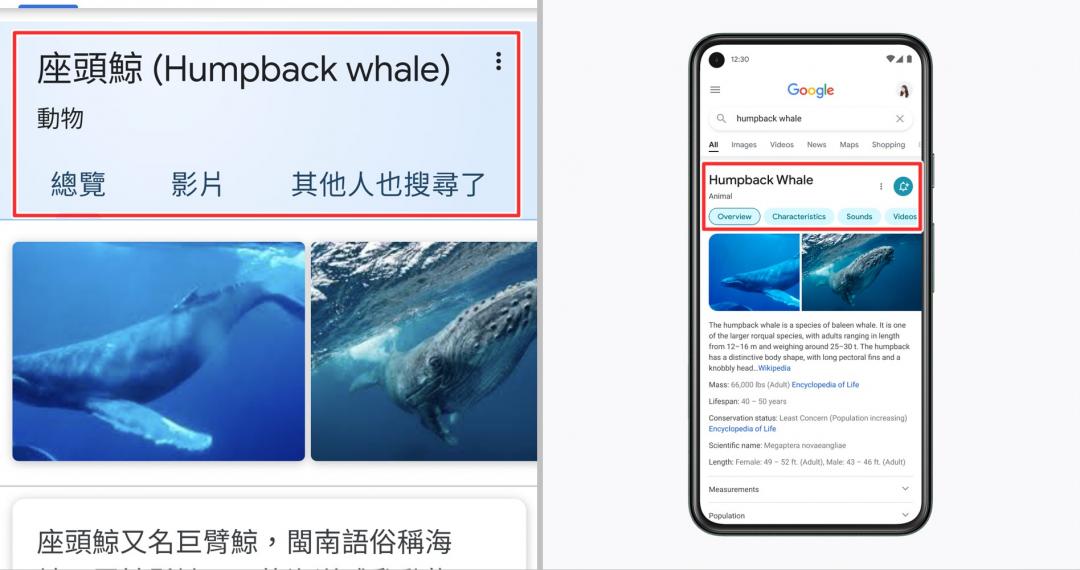圖左為目前的搜尋介面;圖右為Google預計改版後的新設計。(圖翻攝Google官方部落格)