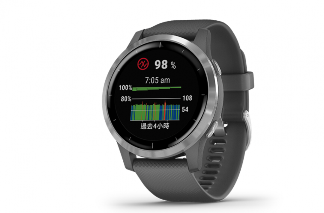  （圖／翻攝自 Garmin 官網）