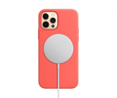 iPhone 12 Pro 不小心掉入河中!國外網友用這招把手機成功「釣」上岸 iPhone 12 Pro 不小心掉入河中!國外網友用這招把手機成功「釣」上岸