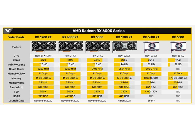AMD Radeon RX 6000 系家族。（圖片來源／擷取自 Videocardz）