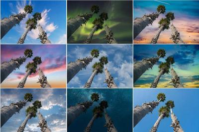 Adobe Photoshop 多項新功能上線!增強「天空替換」一鍵全下載 Adobe Photoshop 多項新功能上線!增強「天空替換」一鍵全下載