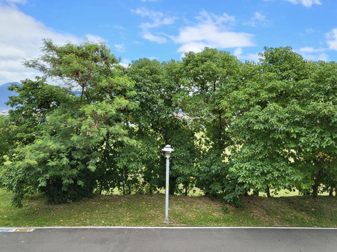 （影音）歷來最平價摺疊手機！三星 Galaxy Z Flip 3 開箱體驗