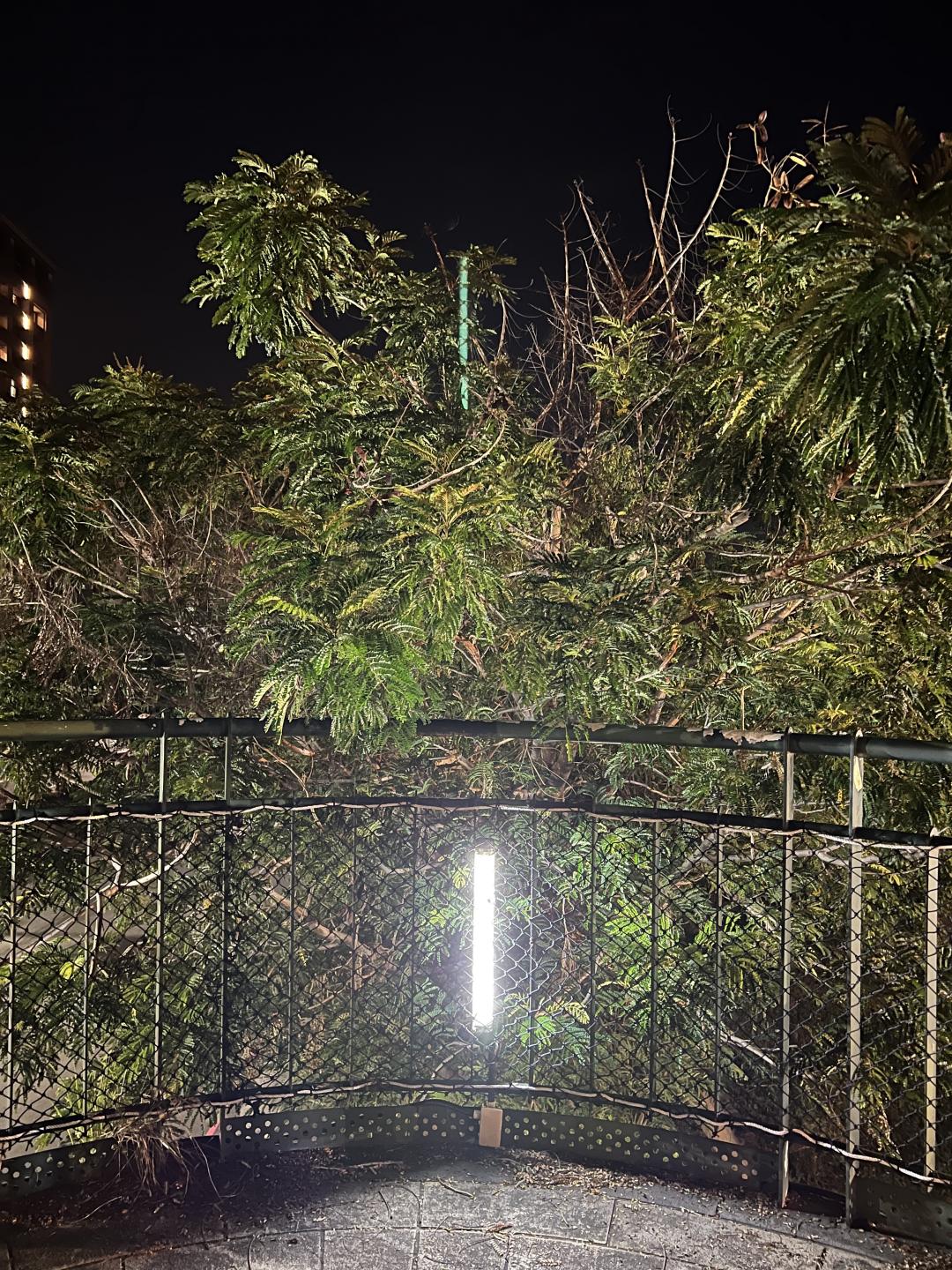 畫面上方的綠柱其實是錯誤出現的光影（圖／記者黃敬淳攝）