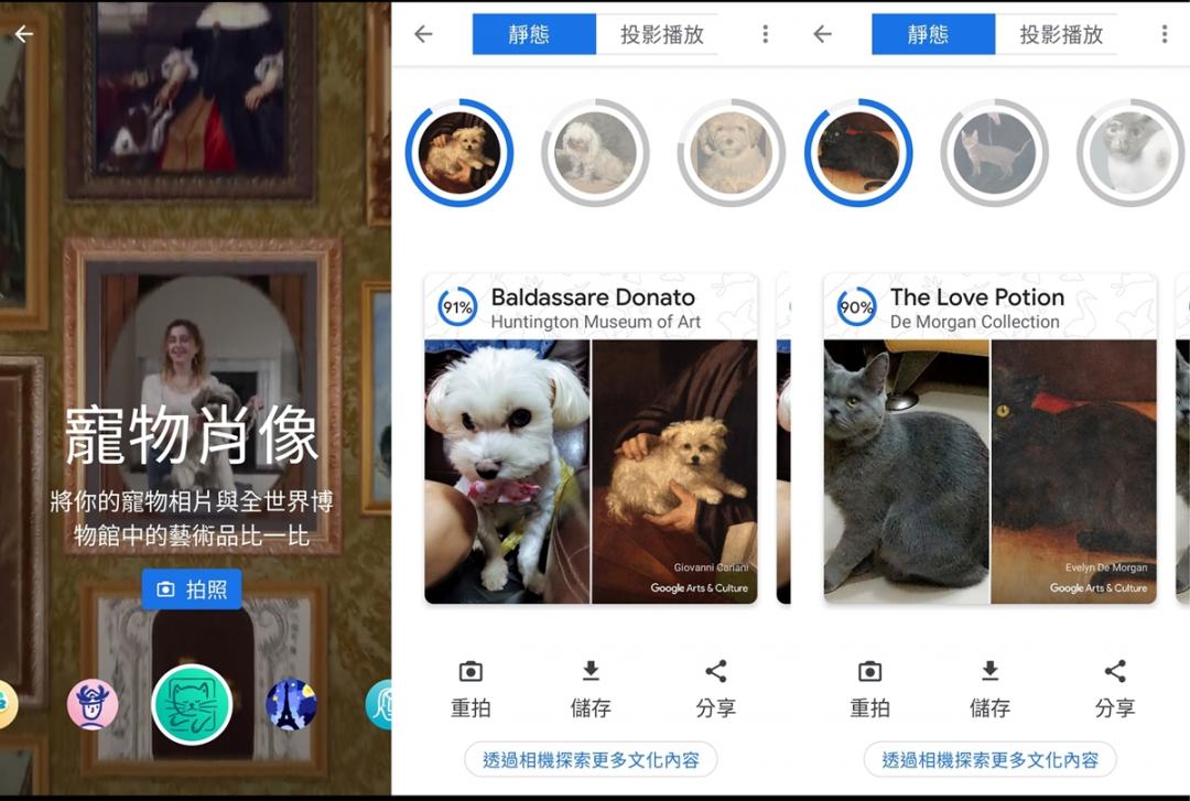 Google Arts and Culture App，全新寵物肖像比對名畫的功能上線。（圖翻攝手機截圖畫面）