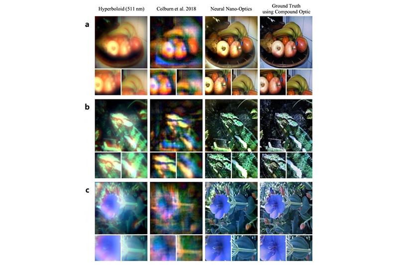 （圖片來源／擷取自 Nature）