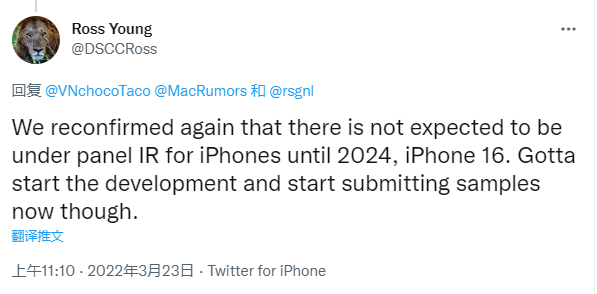 調研機構DSCC執行長 Ross Young在Twitter表示,全螢幕iPhone最快要2024年。(翻攝網路)