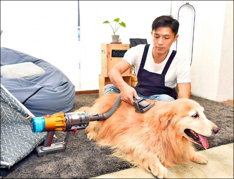 Dyson推出寵物毛髮清潔工具組,專為中長毛的中大型犬打造。