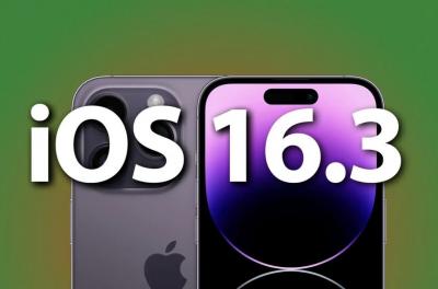 iPhone 14螢幕綠線災情解決!蘋果iOS 16.3修復6大Bug、推送5新功能 iPhone 14螢幕綠線災情解決!蘋果iOS 16.3修復6大Bug、推送5新功能