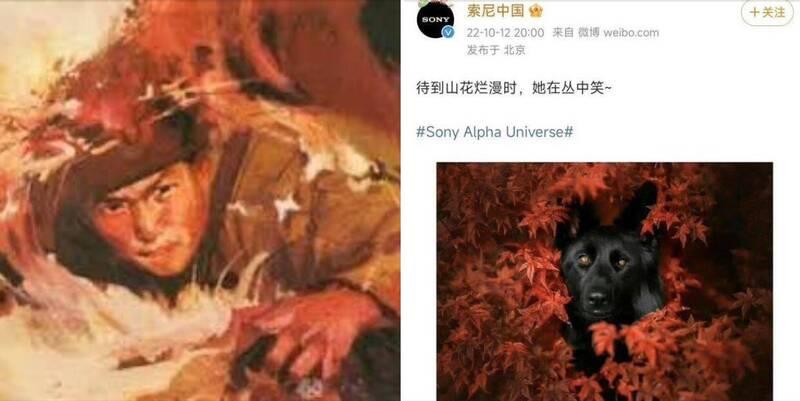 Sony中國微博日前PO出一張黑狗簇擁紅花照被認定污辱中國烈士。(圖/翻攝微博)