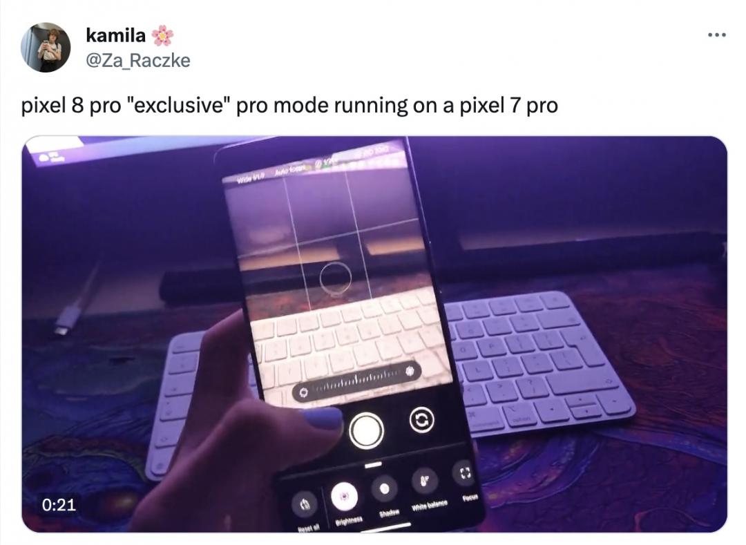 實測證明,Pixel 7 Pro也能運行Pro級拍照模式。(圖/翻攝X)