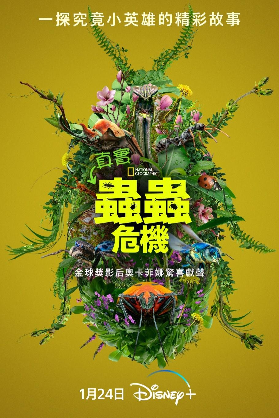 （圖／Disney+提供）