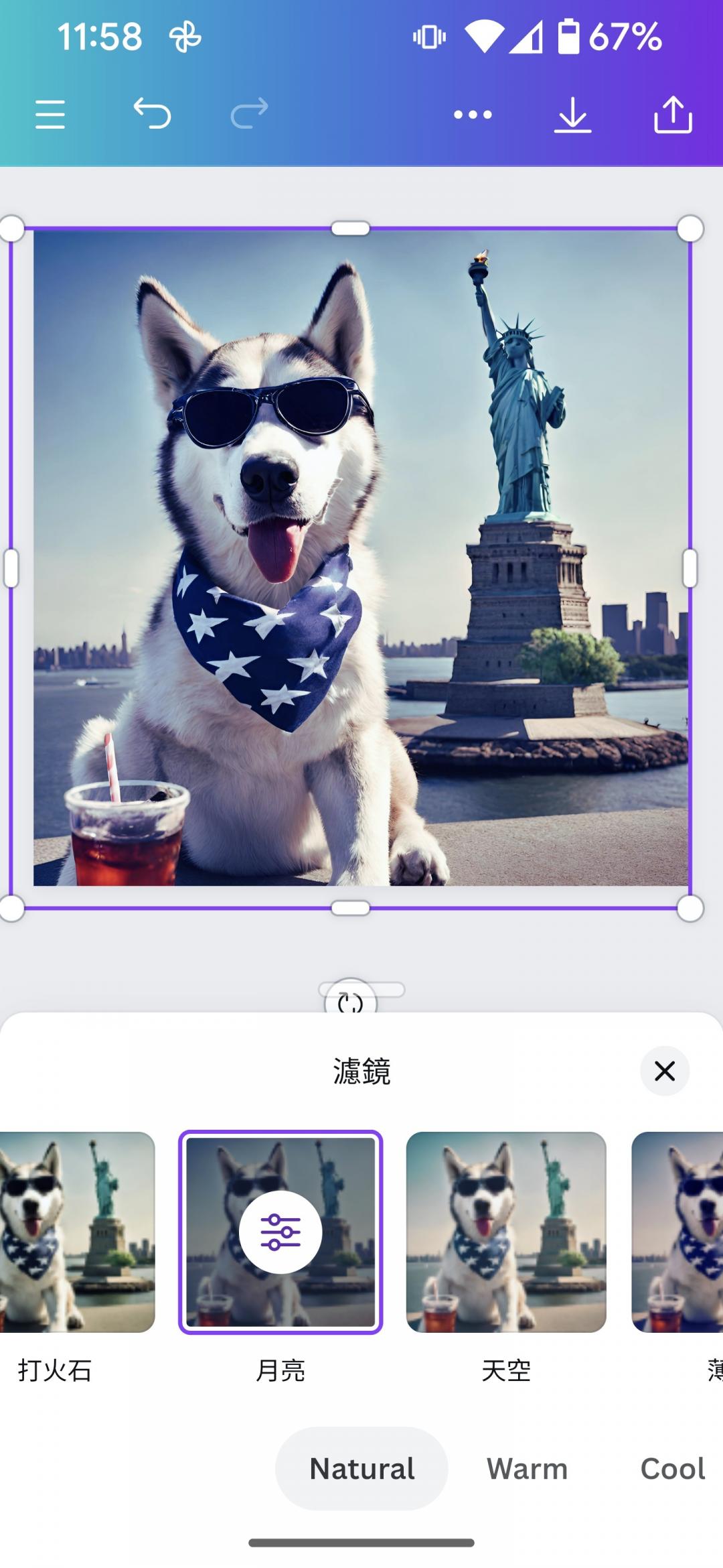 Canva還可套用內建濾鏡特效，讓圖片效果更貼近想法。