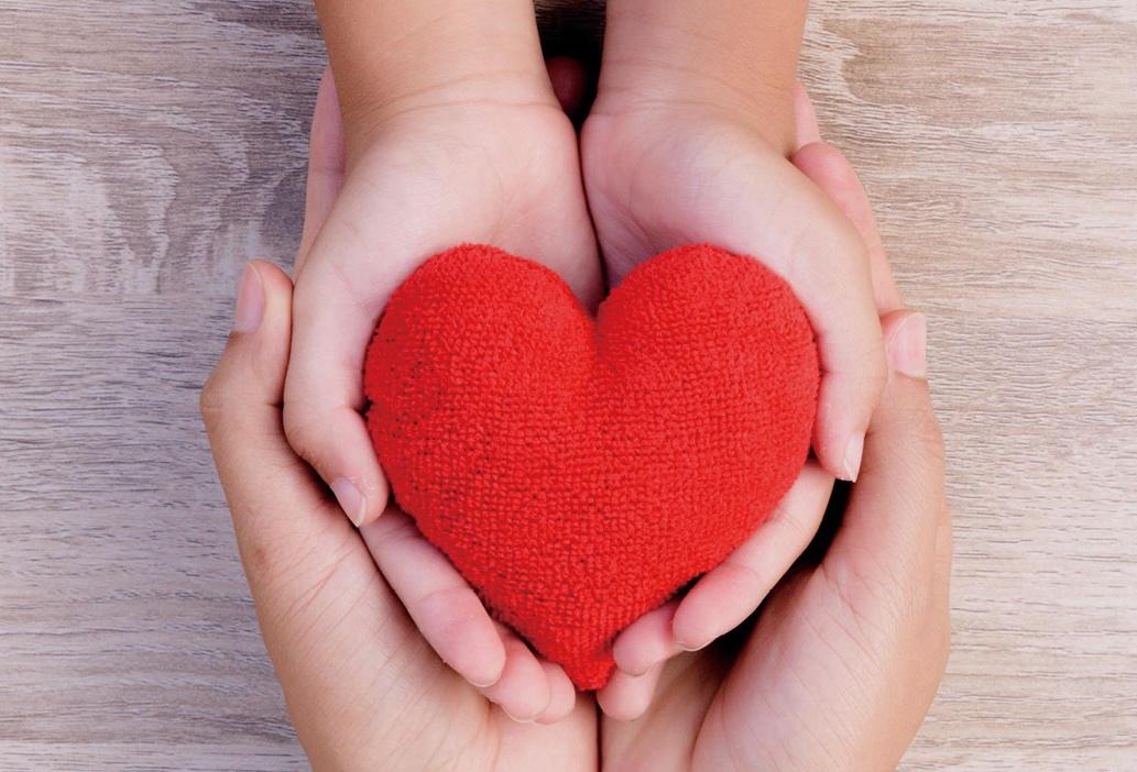 各大通路及家電業者紛紛針對受災民眾推出重建家園活動。（圖／大同）